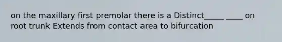 on the maxillary first premolar there is a Distinct_____ ____ on root trunk Extends from contact area to bifurcation
