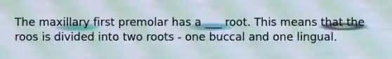 The maxillary first premolar has a ___ root. This means that the roos is divided into two roots - one buccal and one lingual.