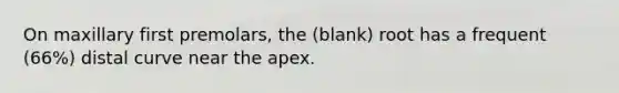 On maxillary first premolars, the (blank) root has a frequent (66%) distal curve near the apex.