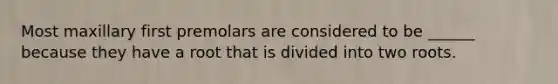 Most maxillary first premolars are considered to be ______ because they have a root that is divided into two roots.