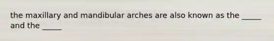 the maxillary and mandibular arches are also known as the _____ and the _____