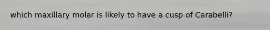 which maxillary molar is likely to have a cusp of Carabelli?