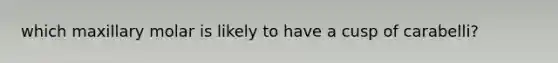 which maxillary molar is likely to have a cusp of carabelli?