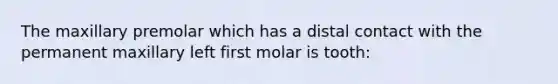 The maxillary premolar which has a distal contact with the permanent maxillary left first molar is tooth: