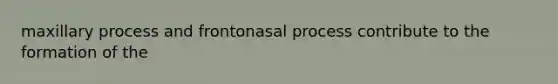 maxillary process and frontonasal process contribute to the formation of the