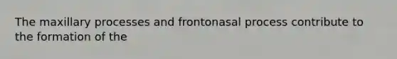 The maxillary processes and frontonasal process contribute to the formation of the