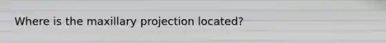 Where is the maxillary projection located?