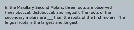 In the Maxillary Second Molars, three roots are observed (mesiobuccal, distobuccal, and lingual). The roots of the secondary molars are ___ than the roots of the first molars. The lingual roots is the largest and longest.