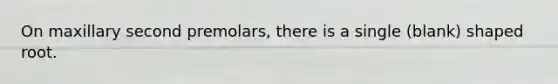 On maxillary second premolars, there is a single (blank) shaped root.