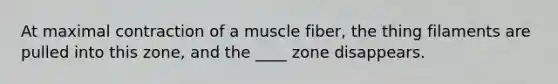 At maximal contraction of a muscle fiber, the thing filaments are pulled into this zone, and the ____ zone disappears.