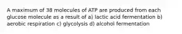 A maximum of 38 molecules of ATP are produced from each glucose molecule as a result of a) lactic acid fermentation b) aerobic respiration c) glycolysis d) alcohol fermentation