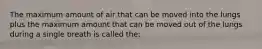 The maximum amount of air that can be moved into the lungs plus the maximum amount that can be moved out of the lungs during a single breath is called the: