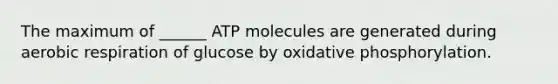 The maximum of ______ ATP molecules are generated during aerobic respiration of glucose by oxidative phosphorylation.