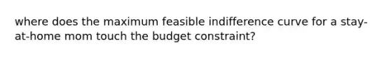 where does the maximum feasible <a href='https://www.questionai.com/knowledge/kEJ4fQMoqt-indifference-curve' class='anchor-knowledge'>indifference curve</a> for a stay-at-home mom touch the <a href='https://www.questionai.com/knowledge/kI7TtoHY8C-budget-constraint' class='anchor-knowledge'>budget constraint</a>?