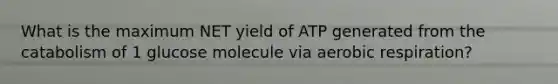 What is the maximum NET yield of ATP generated from the catabolism of 1 glucose molecule via aerobic respiration?