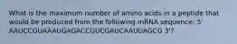 What is the maximum number of amino acids in a peptide that would be produced from the following mRNA sequence: 5' AAUCCGUAAAUGAGACCGUCGAUCAAUUAGCG 3'?