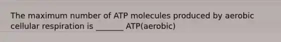 The maximum number of ATP molecules produced by aerobic cellular respiration is _______ ATP(aerobic)