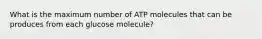 What is the maximum number of ATP molecules that can be produces from each glucose molecule?