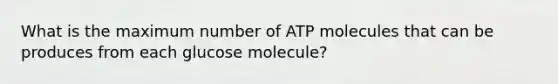 What is the maximum number of ATP molecules that can be produces from each glucose molecule?