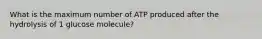 What is the maximum number of ATP produced after the hydrolysis of 1 glucose molecule?