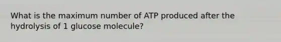 What is the maximum number of ATP produced after the hydrolysis of 1 glucose molecule?