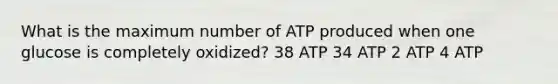 What is the maximum number of ATP produced when one glucose is completely oxidized? 38 ATP 34 ATP 2 ATP 4 ATP