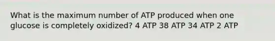 What is the maximum number of ATP produced when one glucose is completely oxidized? 4 ATP 38 ATP 34 ATP 2 ATP