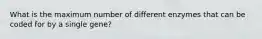 What is the maximum number of different enzymes that can be coded for by a single gene?