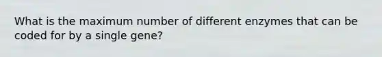 What is the maximum number of different enzymes that can be coded for by a single gene?