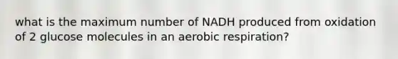 what is the maximum number of NADH produced from oxidation of 2 glucose molecules in an aerobic respiration?