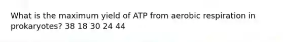 What is the maximum yield of ATP from aerobic respiration in prokaryotes? 38 18 30 24 44