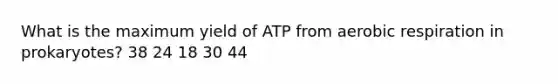 What is the maximum yield of ATP from aerobic respiration in prokaryotes? 38 24 18 30 44