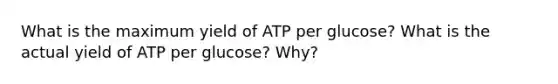 What is the maximum yield of ATP per glucose? What is the actual yield of ATP per glucose? Why?