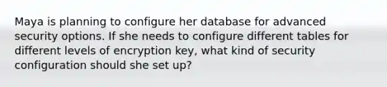 Maya is planning to configure her database for advanced security options. If she needs to configure different tables for different levels of encryption key, what kind of security configuration should she set up?