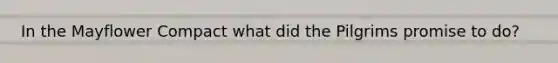 In the Mayflower Compact what did the Pilgrims promise to do?