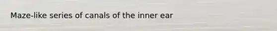 Maze-like series of canals of the inner ear