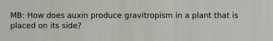 MB: How does auxin produce gravitropism in a plant that is placed on its side?