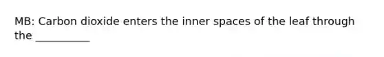 MB: Carbon dioxide enters the inner spaces of the leaf through the __________