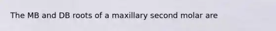 The MB and DB roots of a maxillary second molar are