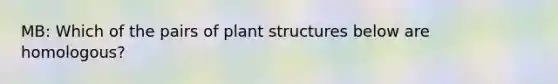 MB: Which of the pairs of plant structures below are homologous?