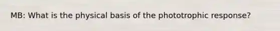 MB: What is the physical basis of the phototrophic response?