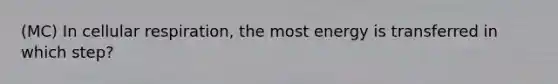 (MC) In cellular respiration, the most energy is transferred in which step?