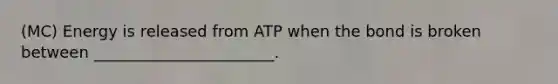 (MC) Energy is released from ATP when the bond is broken between _______________________.