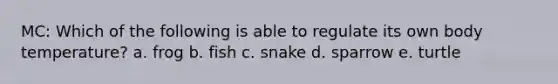 MC: Which of the following is able to regulate its own body temperature? a. frog b. fish c. snake d. sparrow e. turtle