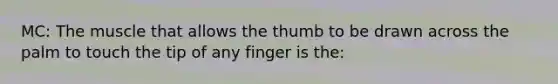 MC: The muscle that allows the thumb to be drawn across the palm to touch the tip of any finger is the: