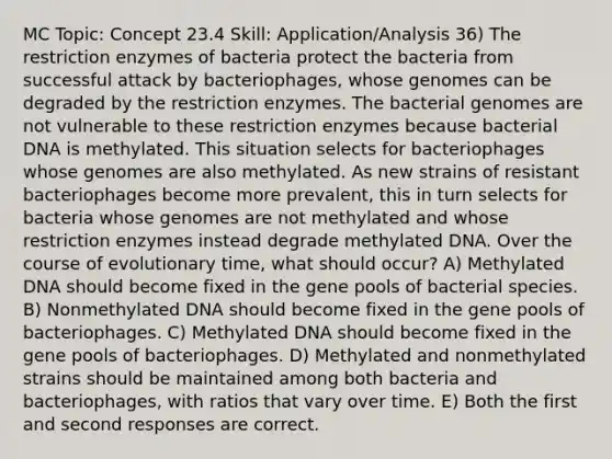 MC Topic: Concept 23.4 Skill: Application/Analysis 36) The restriction enzymes of bacteria protect the bacteria from successful attack by bacteriophages, whose genomes can be degraded by the restriction enzymes. The bacterial genomes are not vulnerable to these restriction enzymes because bacterial DNA is methylated. This situation selects for bacteriophages whose genomes are also methylated. As new strains of resistant bacteriophages become more prevalent, this in turn selects for bacteria whose genomes are not methylated and whose restriction enzymes instead degrade methylated DNA. Over the course of evolutionary time, what should occur? A) Methylated DNA should become fixed in the gene pools of bacterial species. B) Nonmethylated DNA should become fixed in the gene pools of bacteriophages. C) Methylated DNA should become fixed in the gene pools of bacteriophages. D) Methylated and nonmethylated strains should be maintained among both bacteria and bacteriophages, with ratios that vary over time. E) Both the first and second responses are correct.