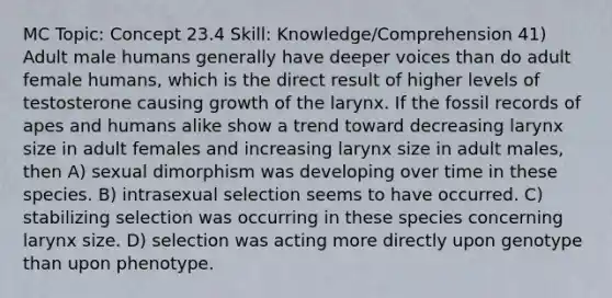 MC Topic: Concept 23.4 Skill: Knowledge/Comprehension 41) Adult male humans generally have deeper voices than do adult female humans, which is the direct result of higher levels of testosterone causing growth of the larynx. If the fossil records of apes and humans alike show a trend toward decreasing larynx size in adult females and increasing larynx size in adult males, then A) sexual dimorphism was developing over time in these species. B) intrasexual selection seems to have occurred. C) stabilizing selection was occurring in these species concerning larynx size. D) selection was acting more directly upon genotype than upon phenotype.