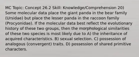 MC Topic: Concept 26.2 Skill: Knowledge/Comprehension 20) Some molecular data place the giant panda in the bear family (Ursidae) but place the lesser panda in the raccoon family (Procyonidae). If the molecular data best reflect the evolutionary history of these two groups, then the morphological similarities of these two species is most likely due to A) the inheritance of acquired characteristics. B) sexual selection. C) possession of analogous (convergent) traits. D) possession of shared primitive characters.