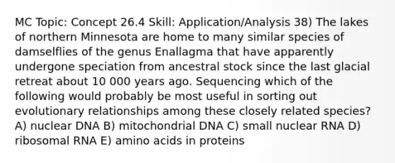 MC Topic: Concept 26.4 Skill: Application/Analysis 38) The lakes of northern Minnesota are home to many similar species of damselflies of the genus Enallagma that have apparently undergone speciation from ancestral stock since the last glacial retreat about 10 000 years ago. Sequencing which of the following would probably be most useful in sorting out evolutionary relationships among these closely related species? A) nuclear DNA B) mitochondrial DNA C) small nuclear RNA D) ribosomal RNA E) amino acids in proteins