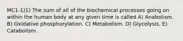 MC1-1)1) The sum of all of the biochemical processes going on within the human body at any given time is called A) Anabolism. B) Oxidative phosphorylation. C) Metabolism. D) Glycolysis. E) Catabolism.